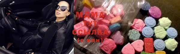 МДПВ Бородино