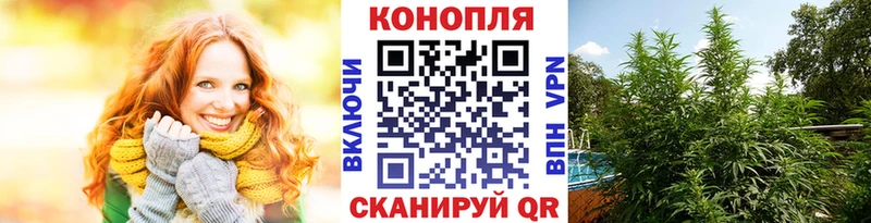 Шишки марихуана THC 21%  где купить наркоту  Зерноград 